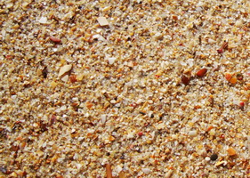 Морской песок - Фото 1